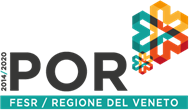 Programma di ricerca POR-FESR 2014-2020 - RIR