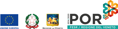 Progetto di ricerca POR-FESR / FHP