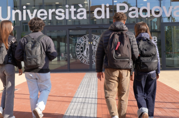 Collegamento a Webinar di presentazione dei corsi di laurea magistrale